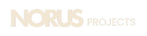 Copy of NORUS BRANDING